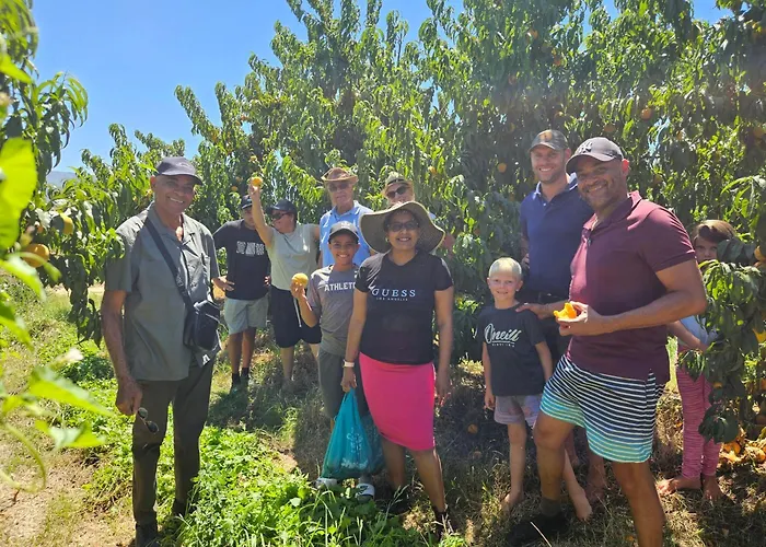 Lowergroen Guest Farm, Working Farm