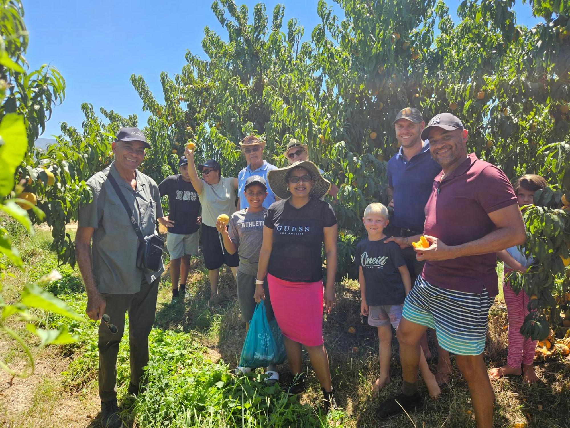 Lowergroen Guest Farm, Working Farm Swellendam