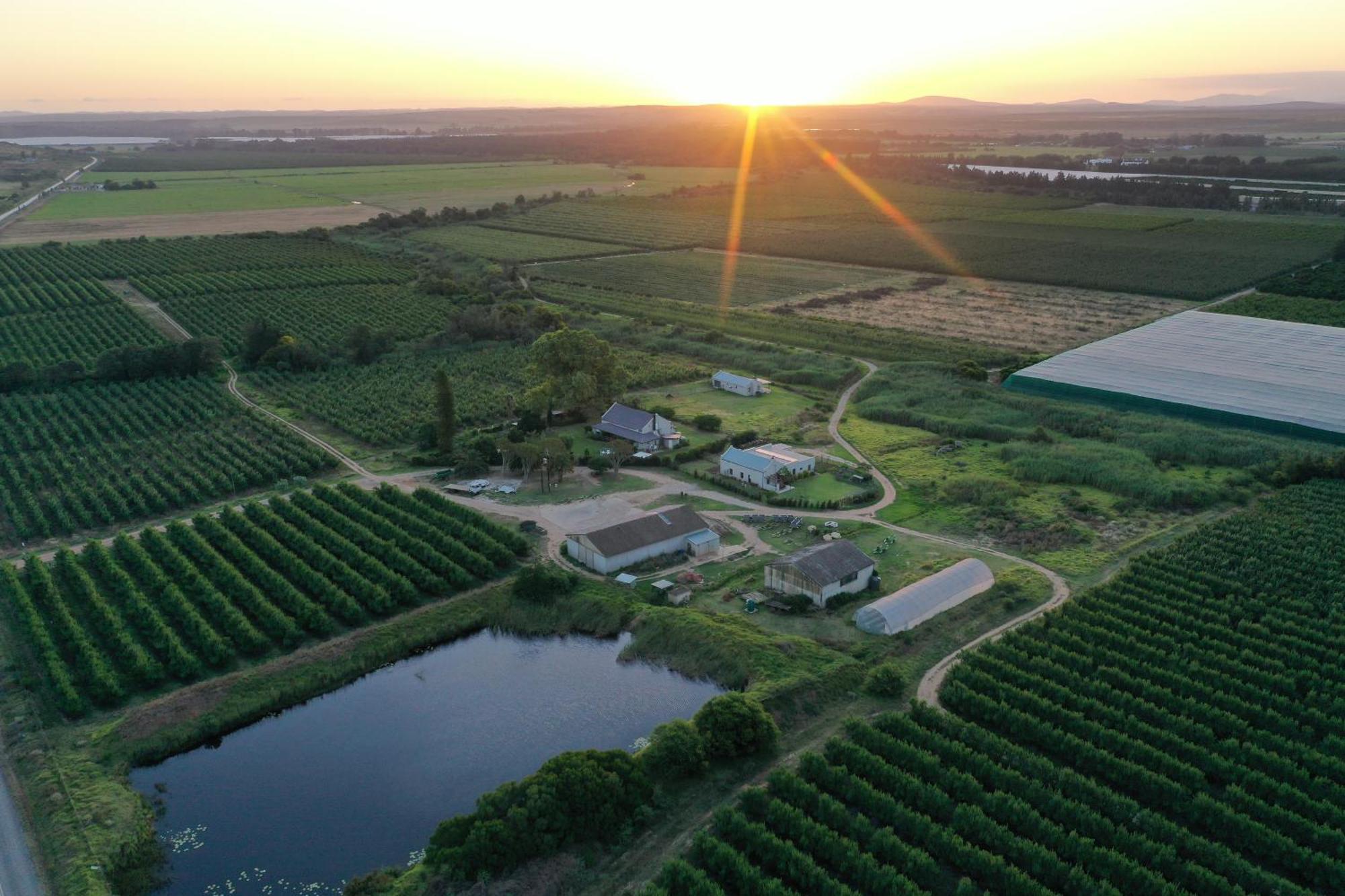Lowergroen Guest Farm, Working Farm *